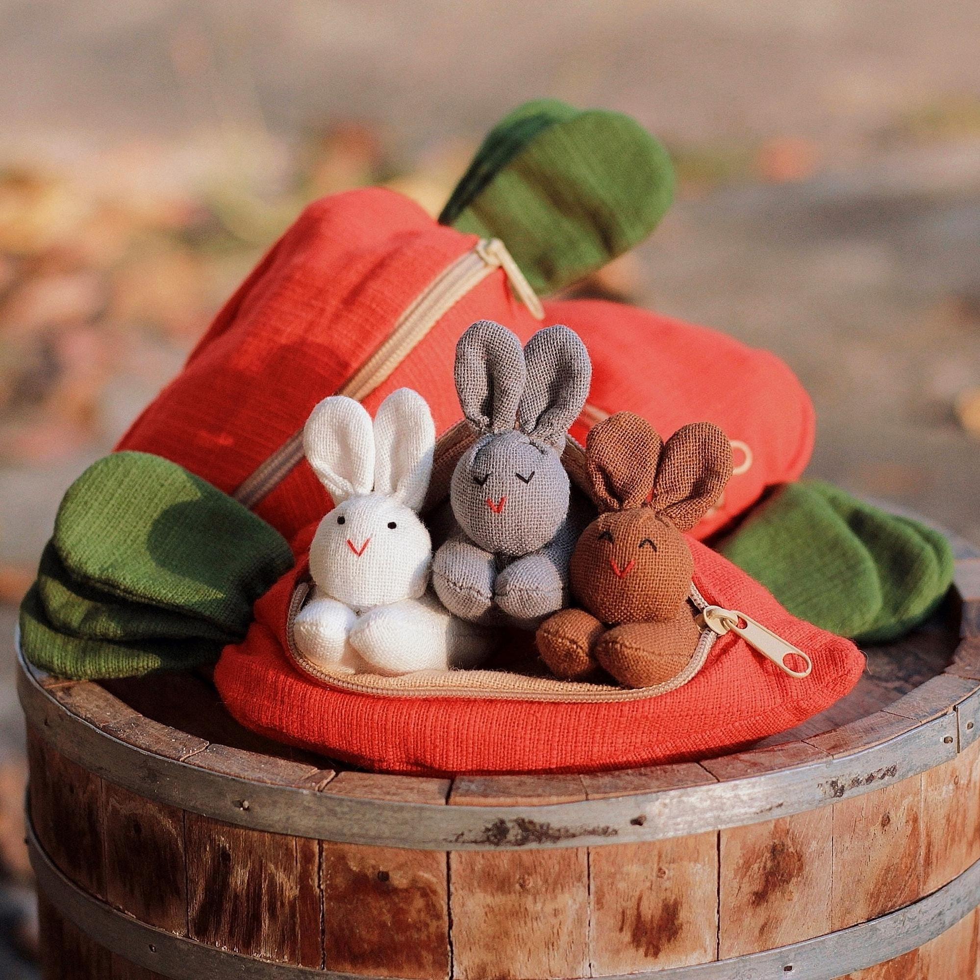 🔥Easter Special🔥-🐰🥕Bunny Carrot Pouch