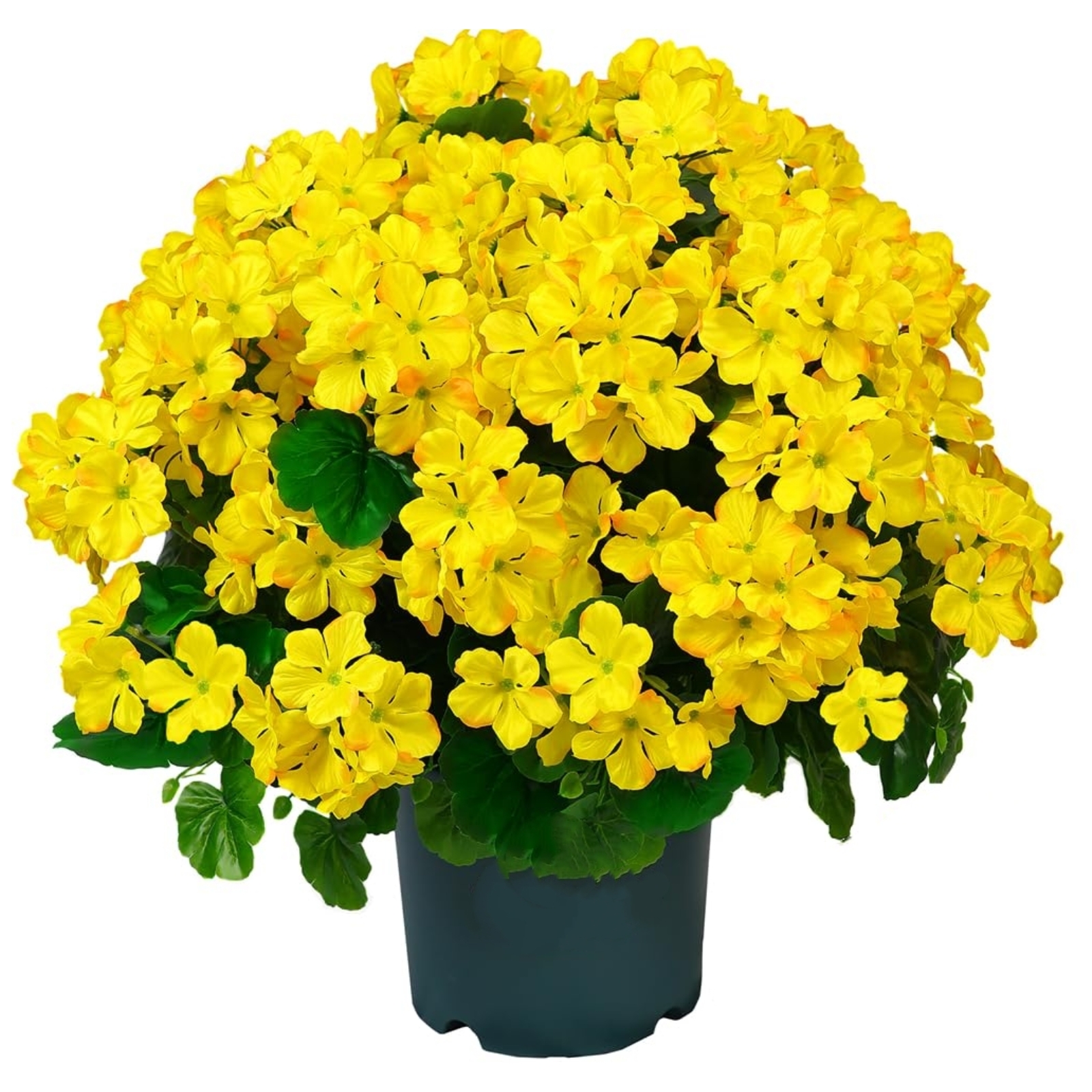 🔥Super Sale - 49% OFF🔥21