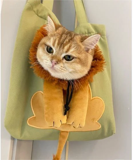 🔥Last Day Promotion-50% OFF🔥Pet Canvas Shoulder Bag