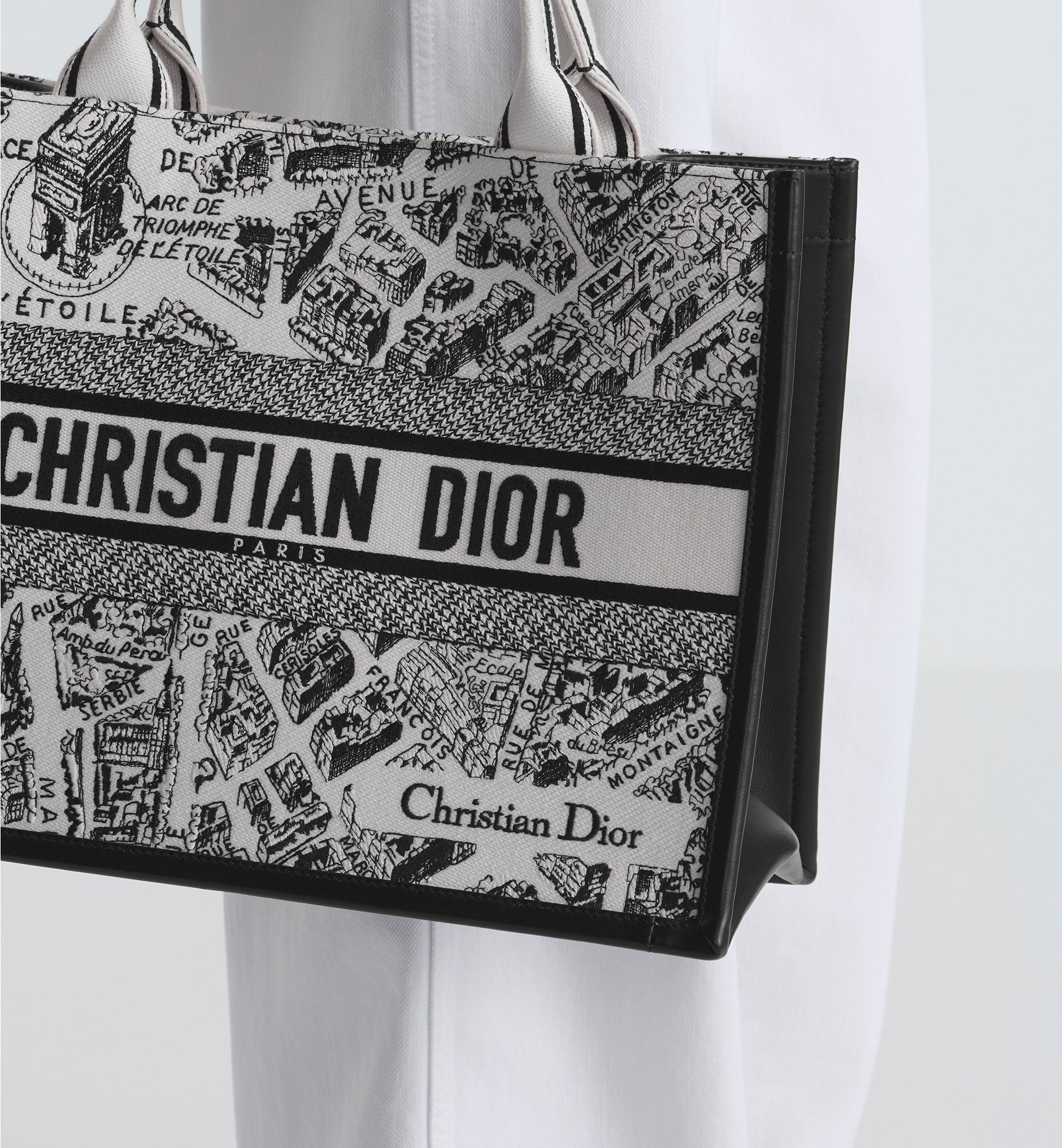 Dior Medium Book Tote Bag M1324CETJ_M081