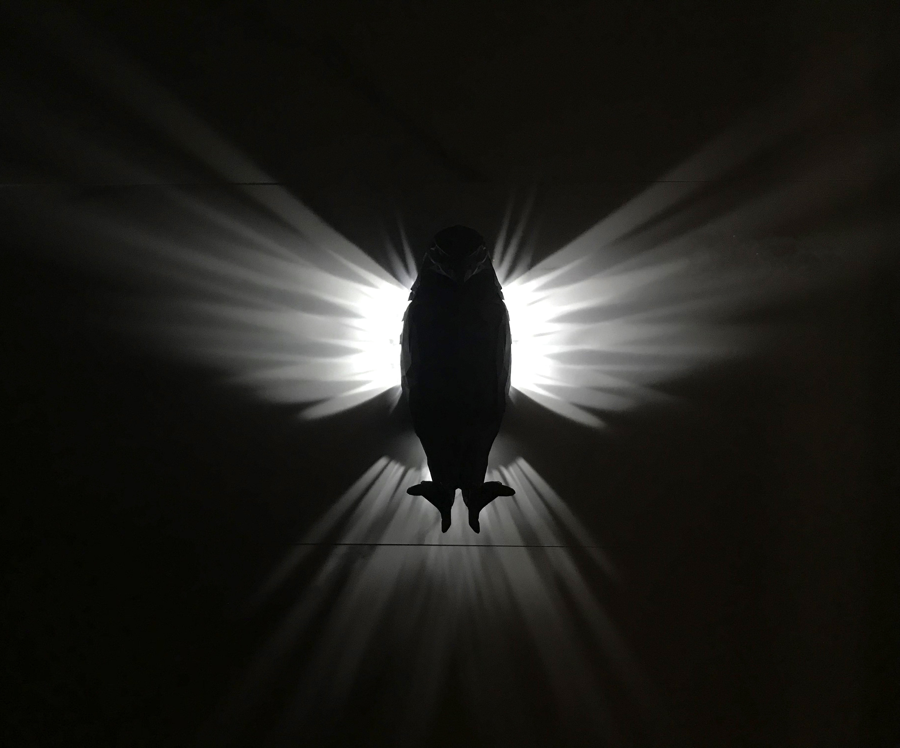 👍Last Day Promotion 60% OFF💥3D Eagle LED Wall Lamp