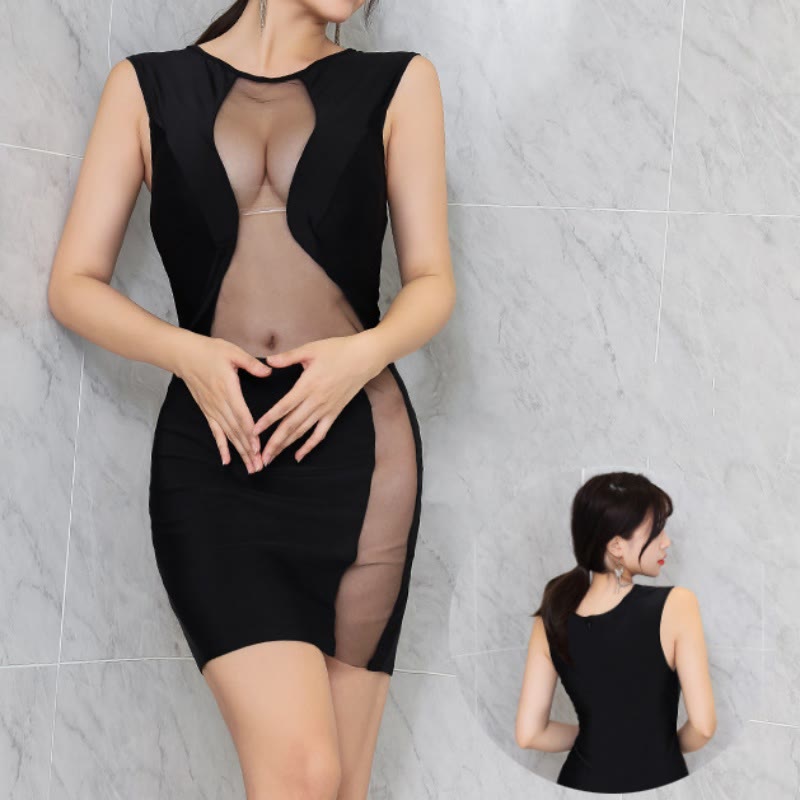 Sleeveless See-through Dress