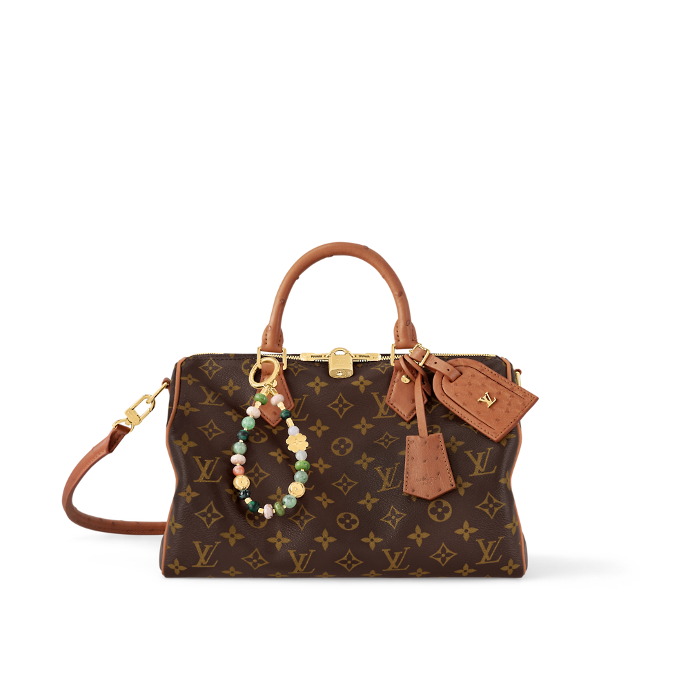 Louis Vuitton SPEEDY SOFT 30 BOHO Bag N87212