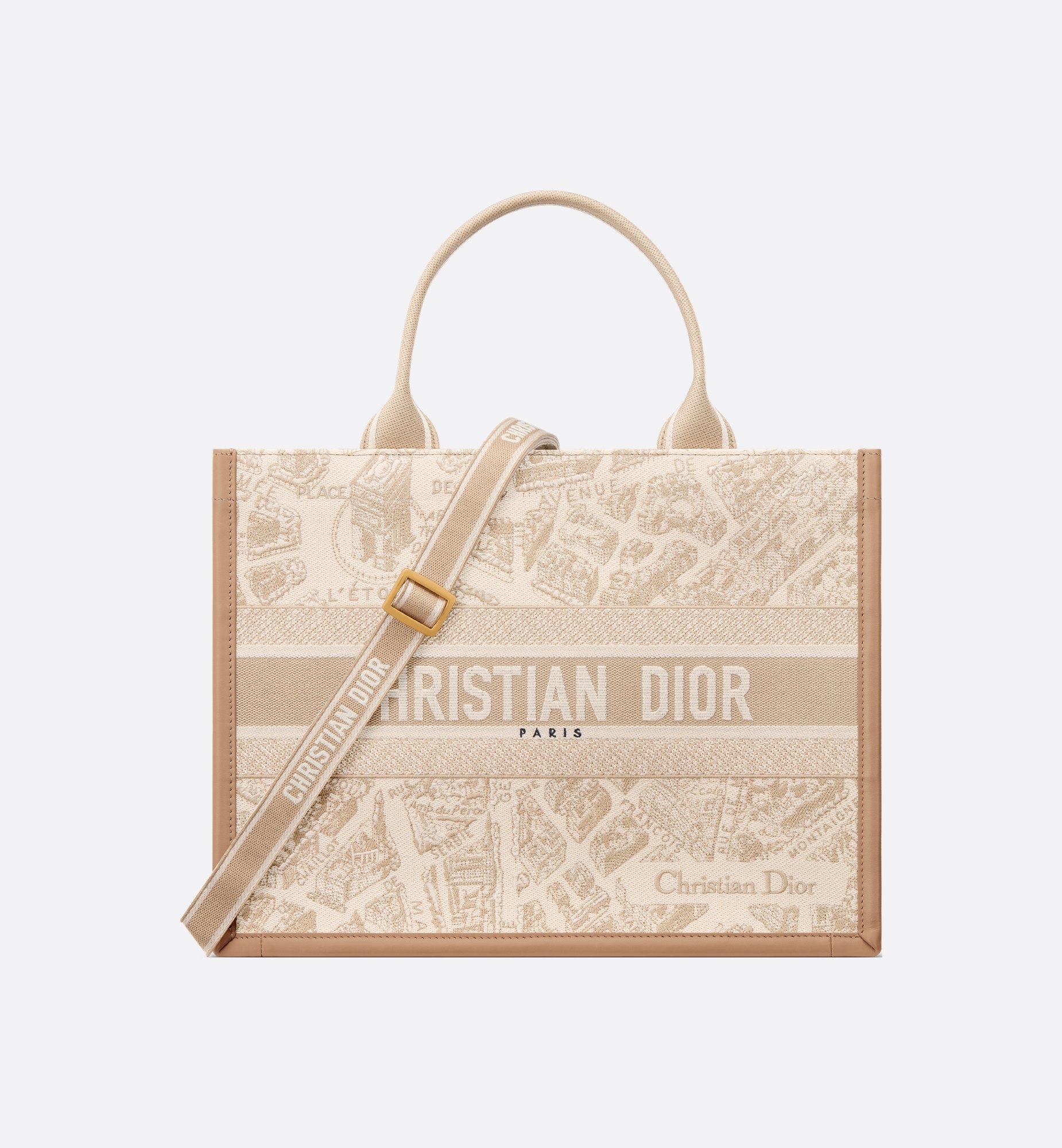 Dior Medium Book Tote Bag M1324CETJ_M925