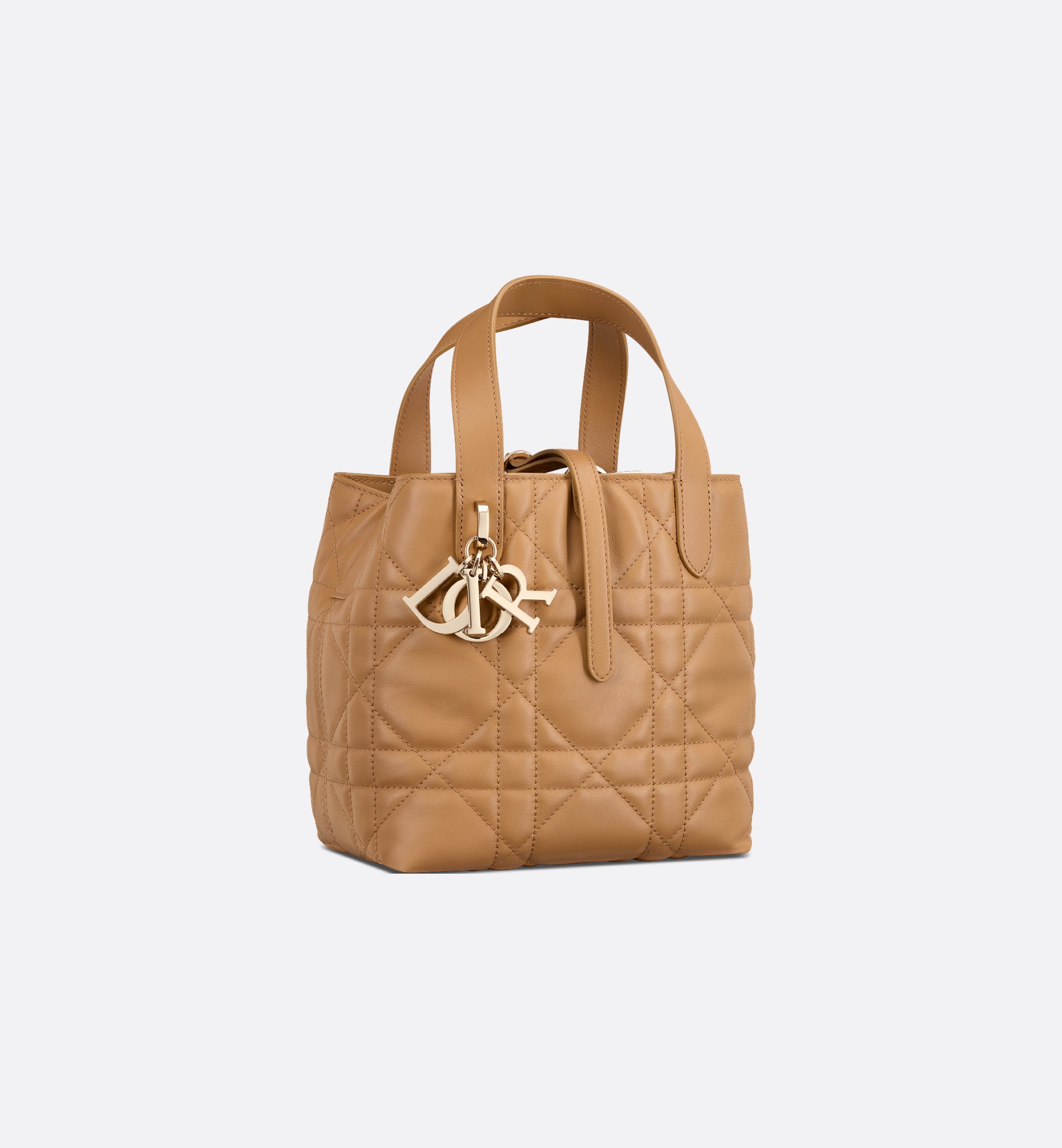 Dior Small Dior Toujours Vertical Bag M2835OSNW_M34U