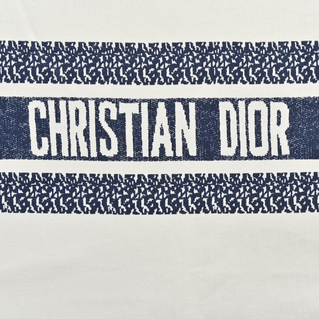 Dior 23ss blue striped letter print short sleeve