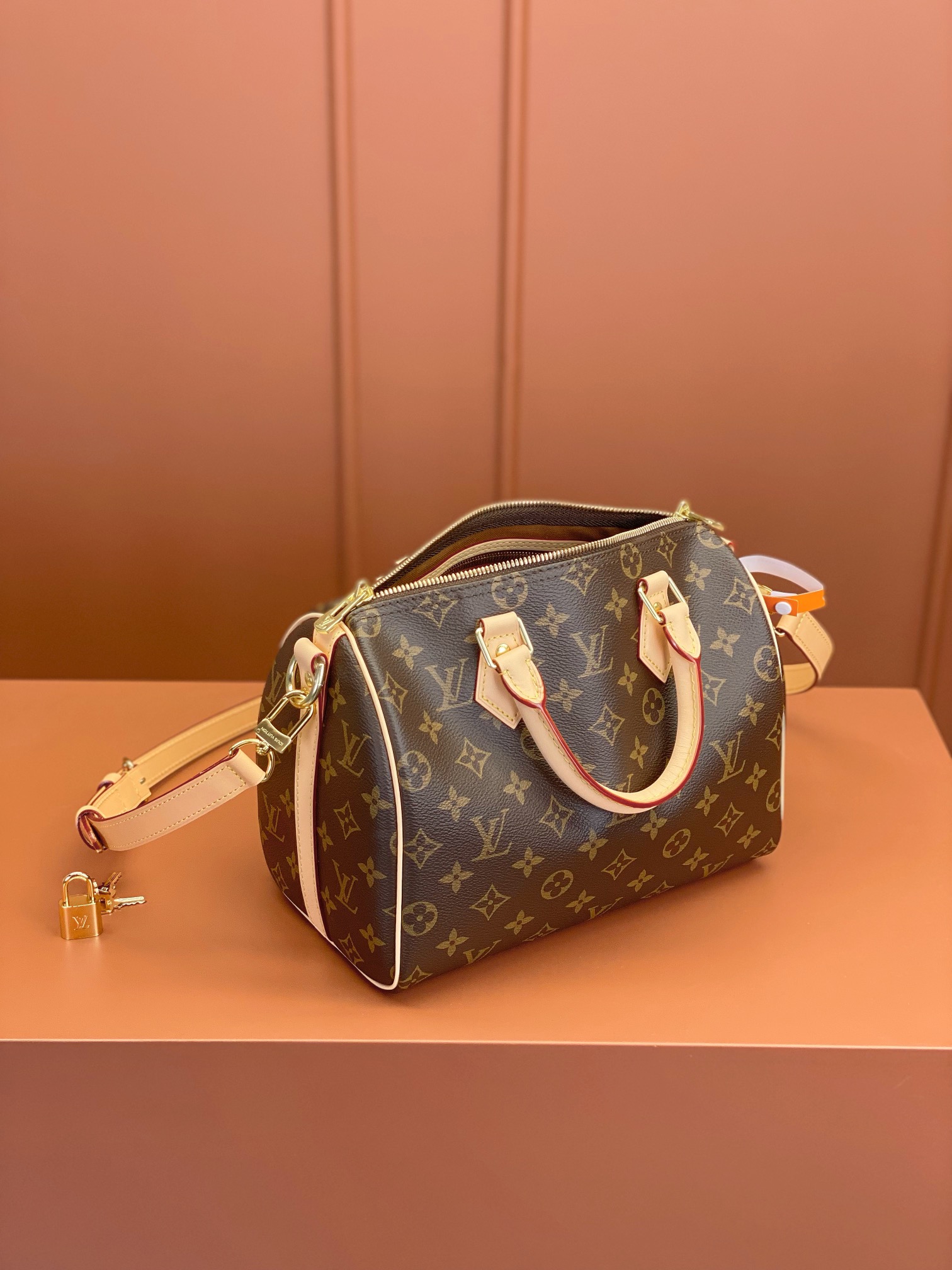 Louis Vuitton SPEEDY 25 Handbag M41113