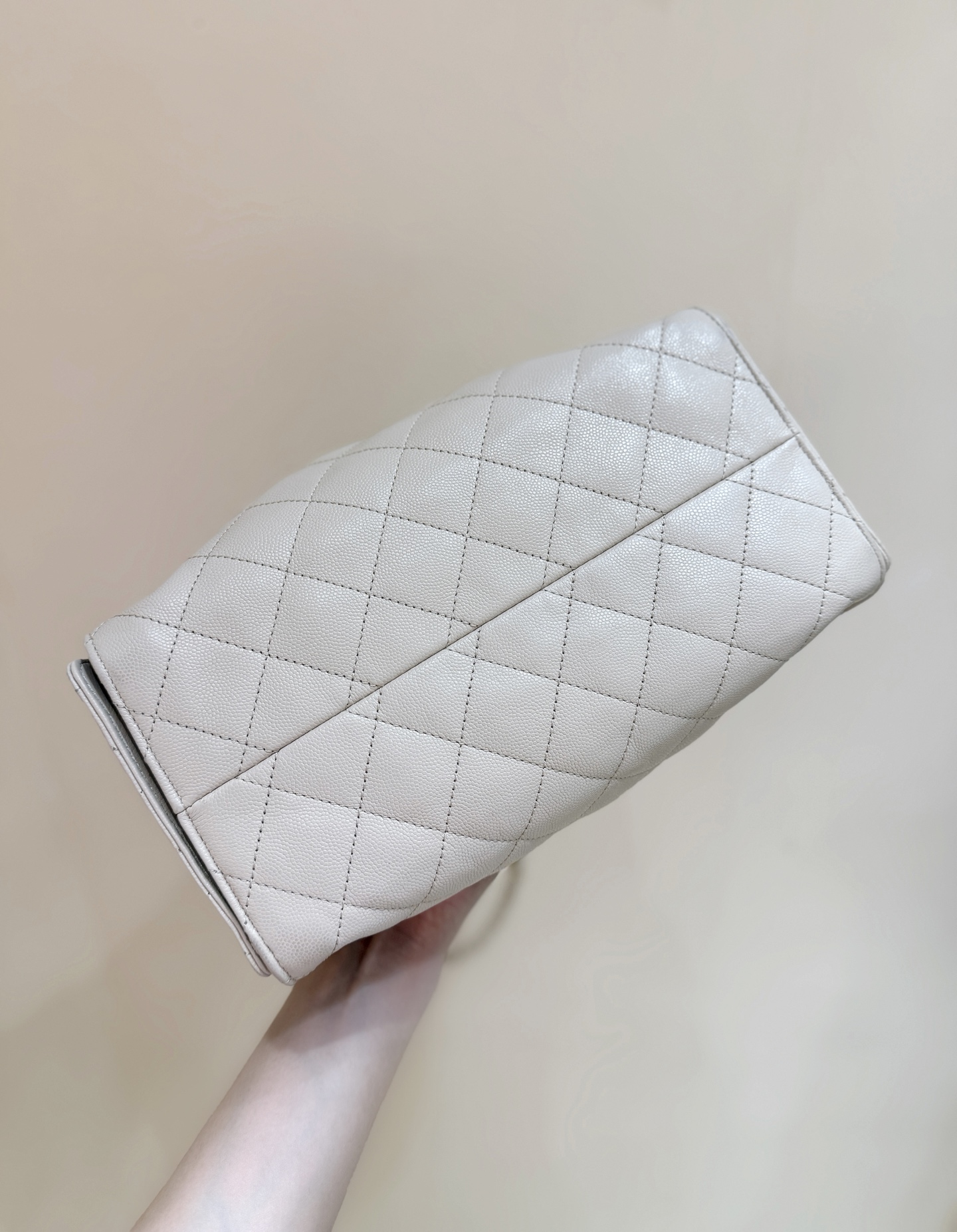 Chanel 25S Spring/Summer Collection Handbag AS5293 00158