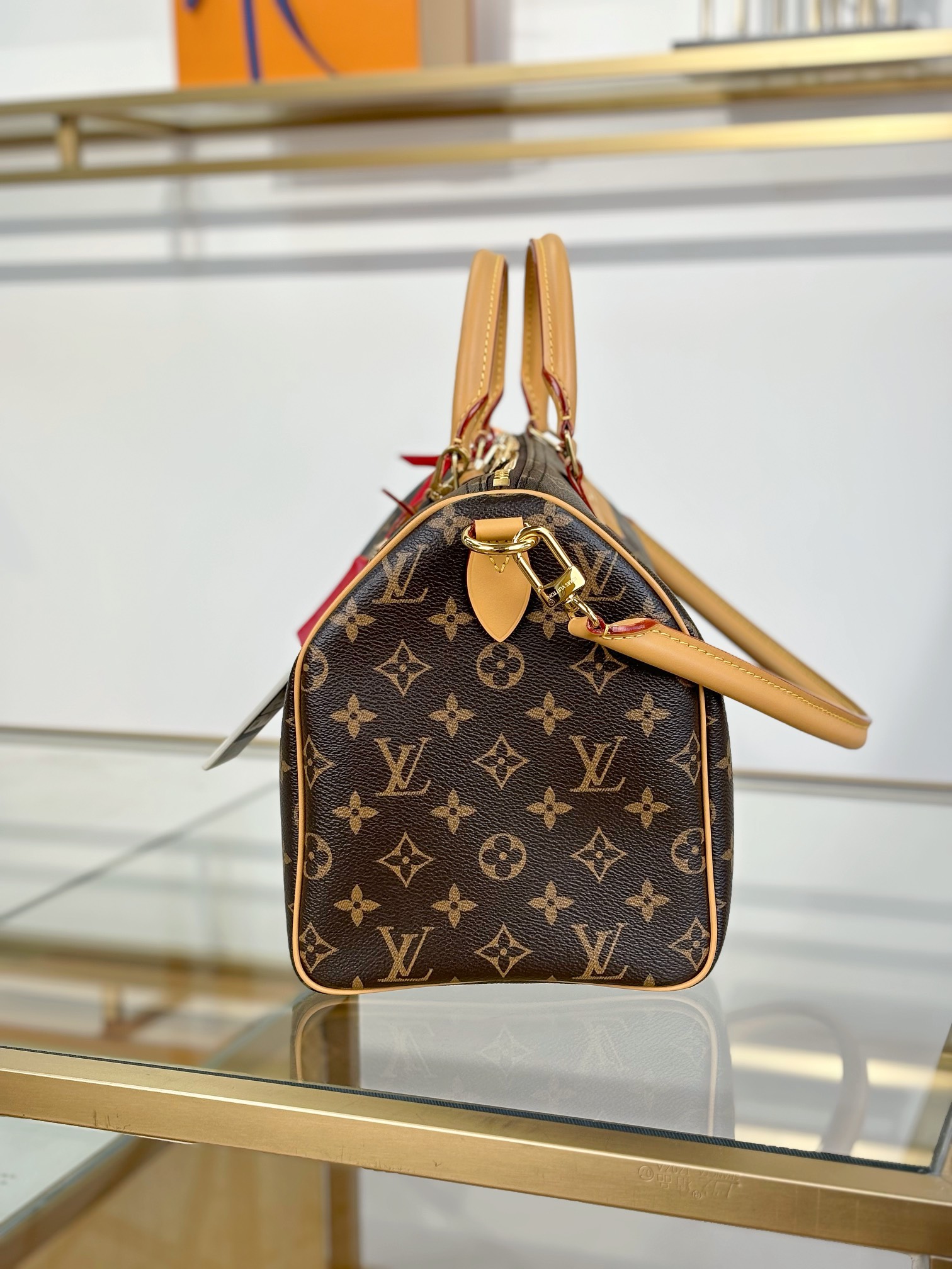 Louis Vuitton SPEEDY SOFT 30 DARK Handbag M11945