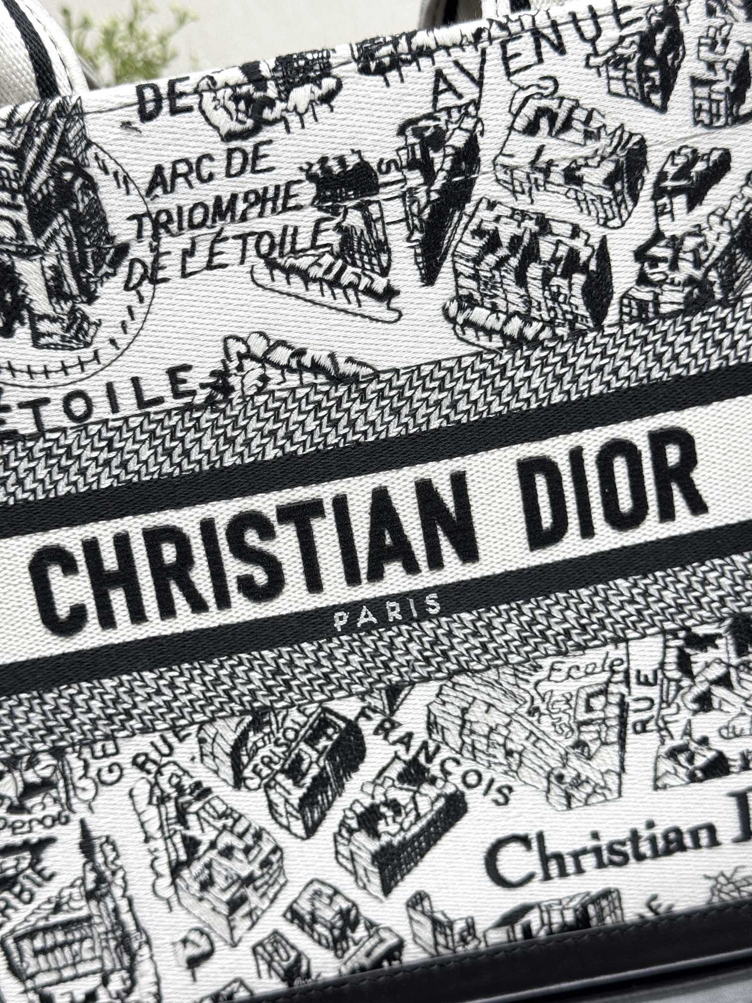 Dior Mini Book tote bag