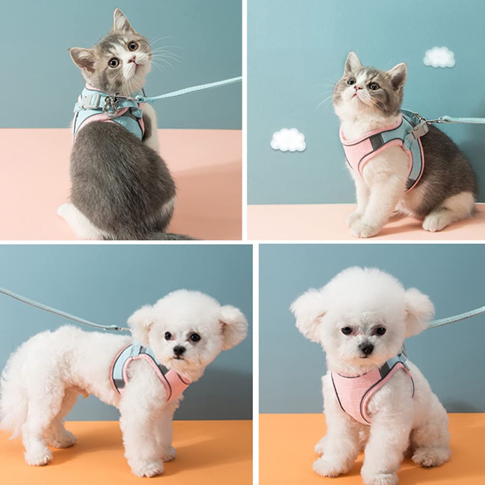 🔥Last Day Promotion-[SAVE 50% OFF]--Luminous Cat Vest Harness and Leash Set--BUY 2 GET 10% OFF & FREE SHIPPING