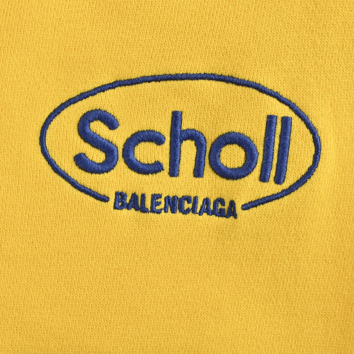 Balenciaga 25ss Scholl discharge embroidered trousers