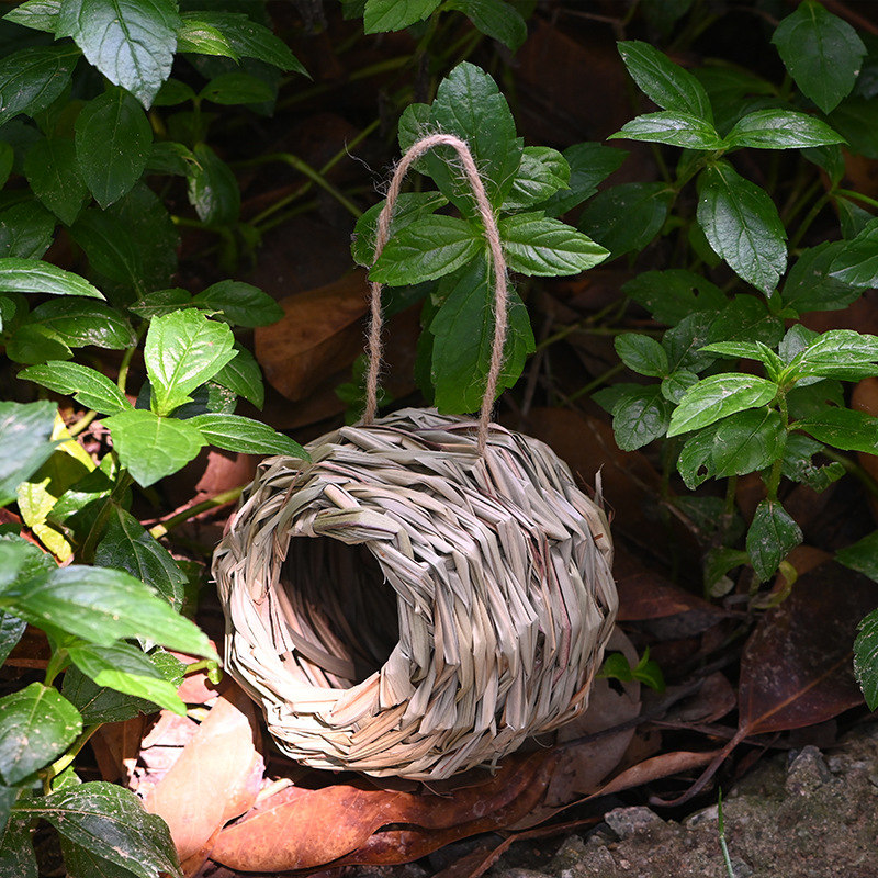 (🔥Last Day Promotion-SAVE 50% OFF)Hummingbird Nest House-BUY 3 GET 3 FREE$FREE SHIPPING