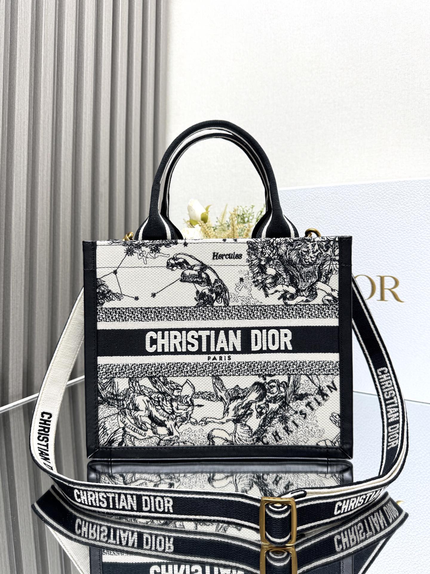 Dior Mini Book tote bag