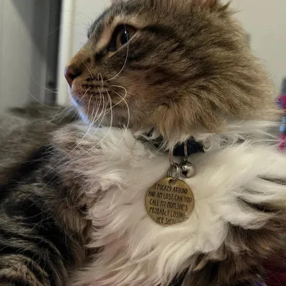 Personalized Funny Pet Tag