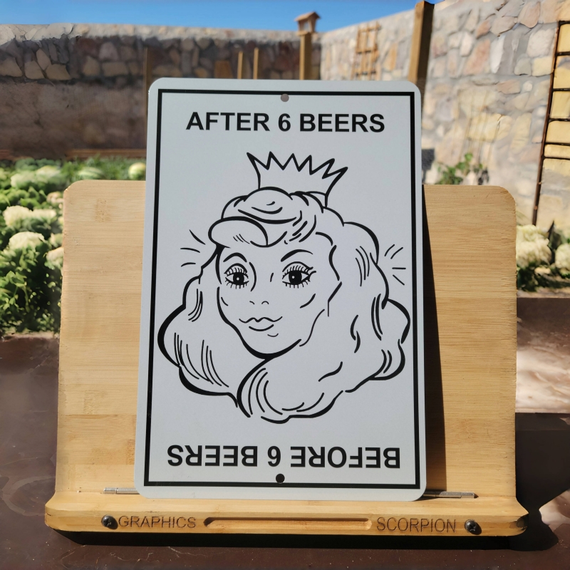 On Sale🔥Before/After 6 Beers Funny Aluminum Sign 8x12 in