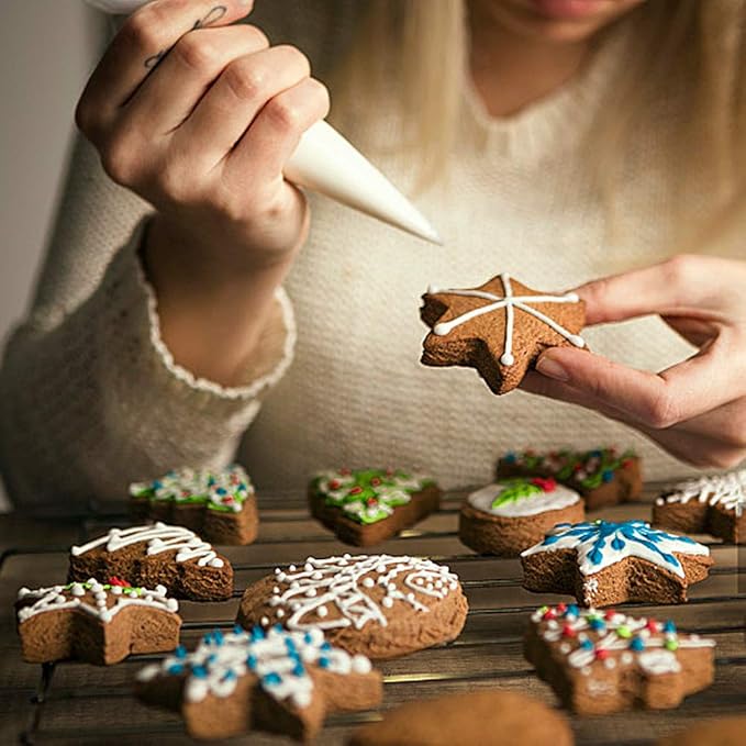 🍪🍪4 Piece Christmas Cookie Plastic Spring Cookie Mold Set