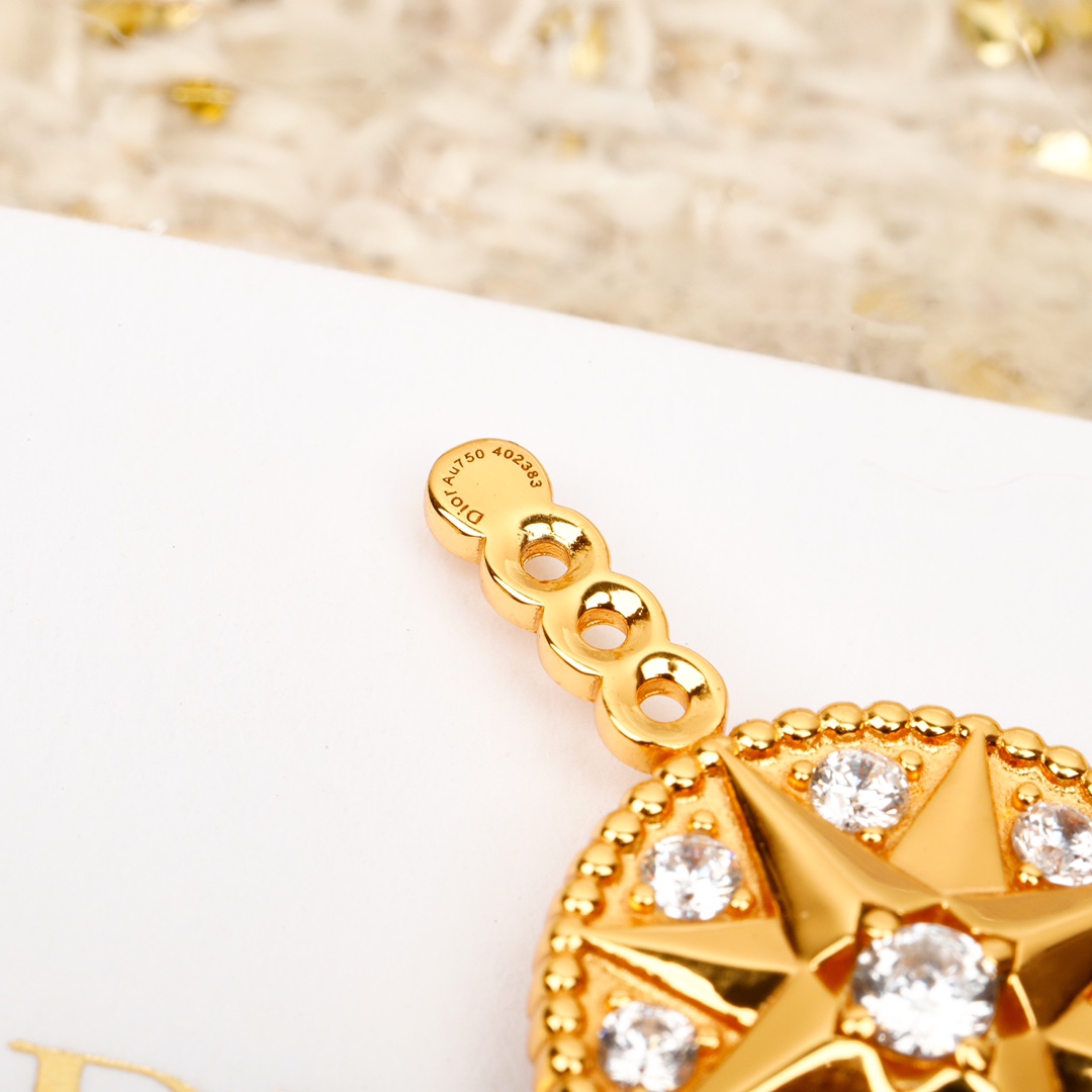 Dior Compass Earrings