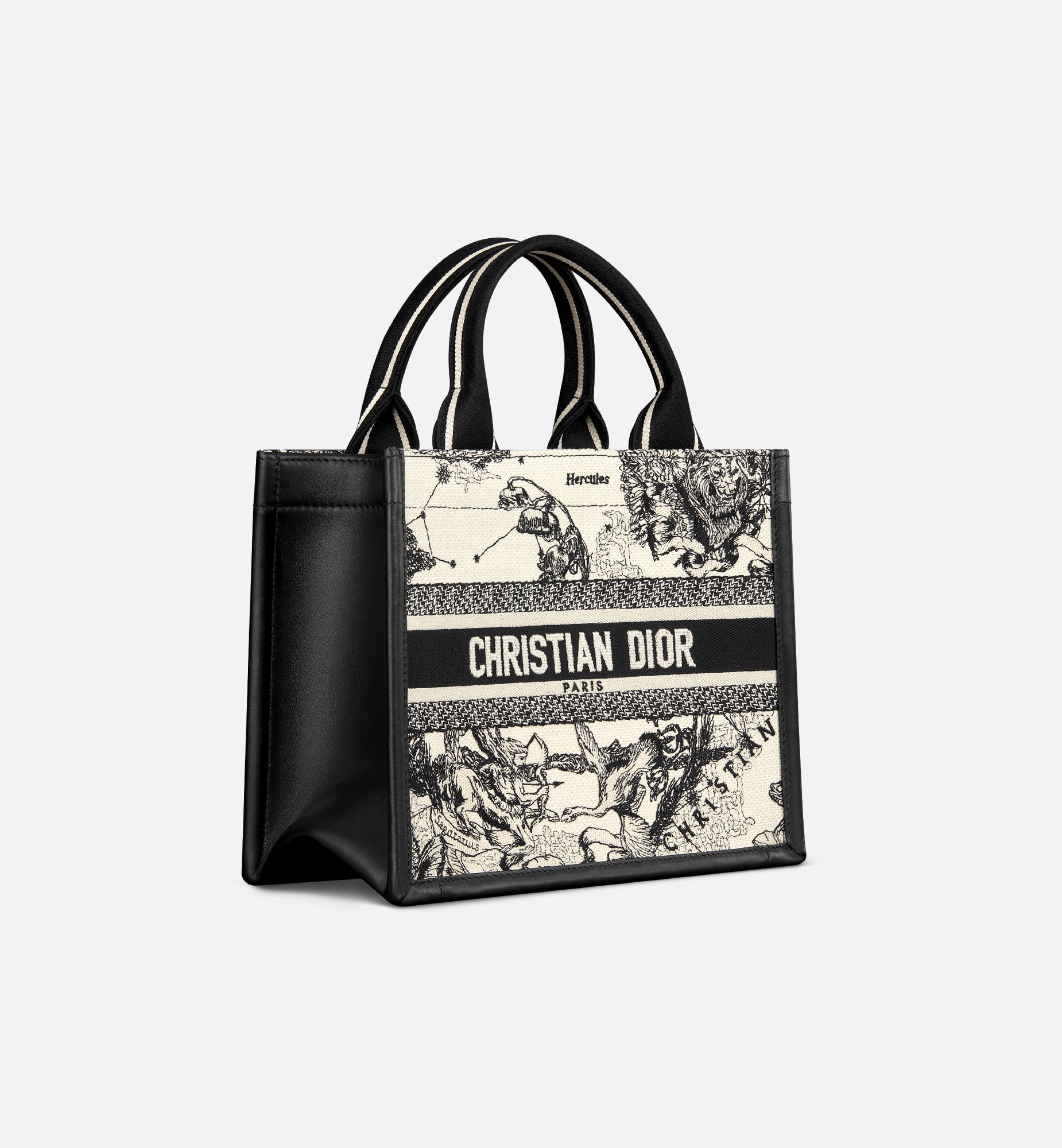 Dior Small Book Tote Bag M1325CETW_M06E
