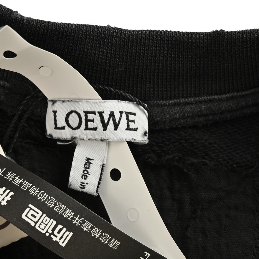 Loewe 24Fw gradient washed print crew neck sweatshirt