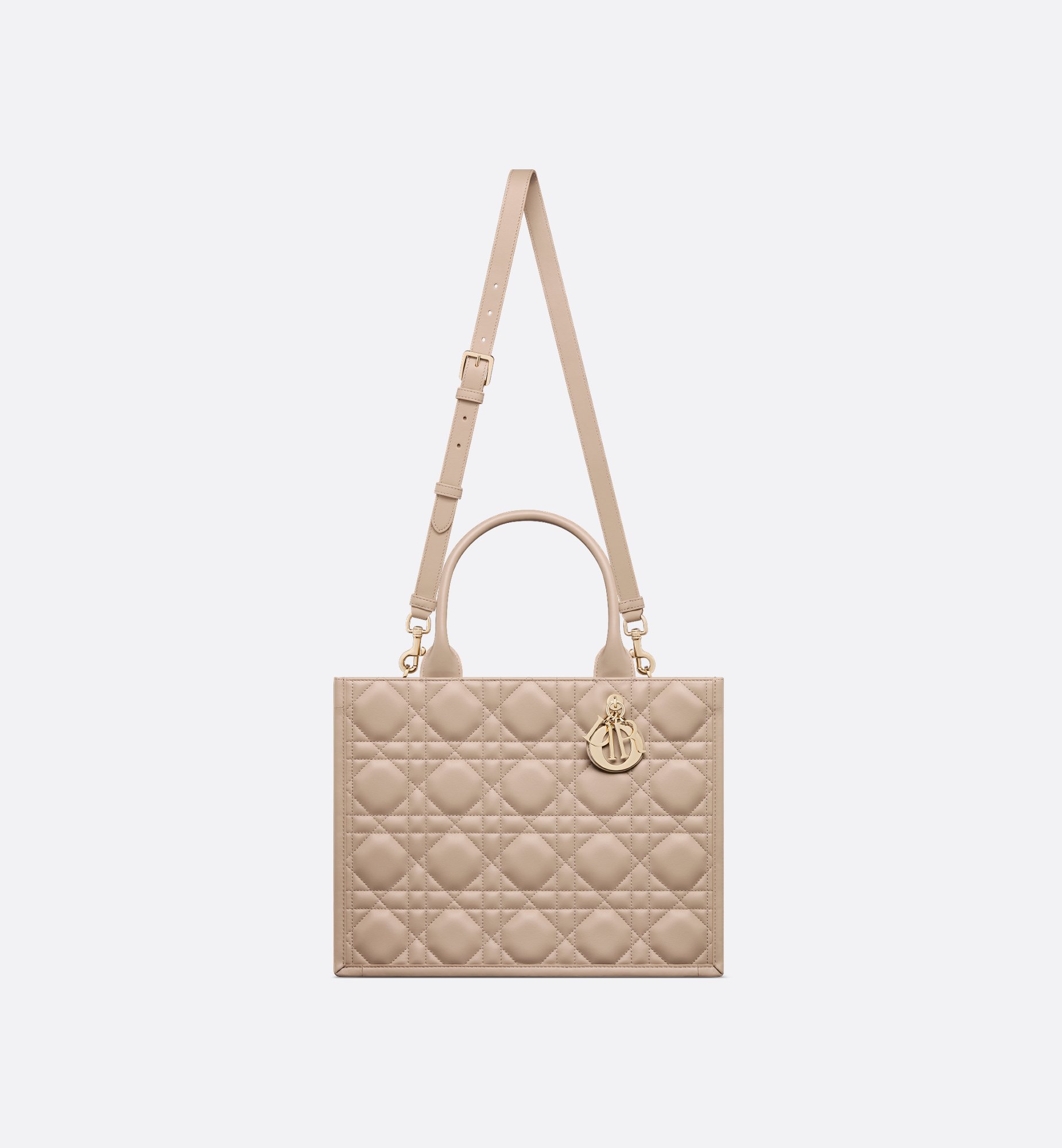 Dior Medium Book Tote Bag M1324OWHP_M59U