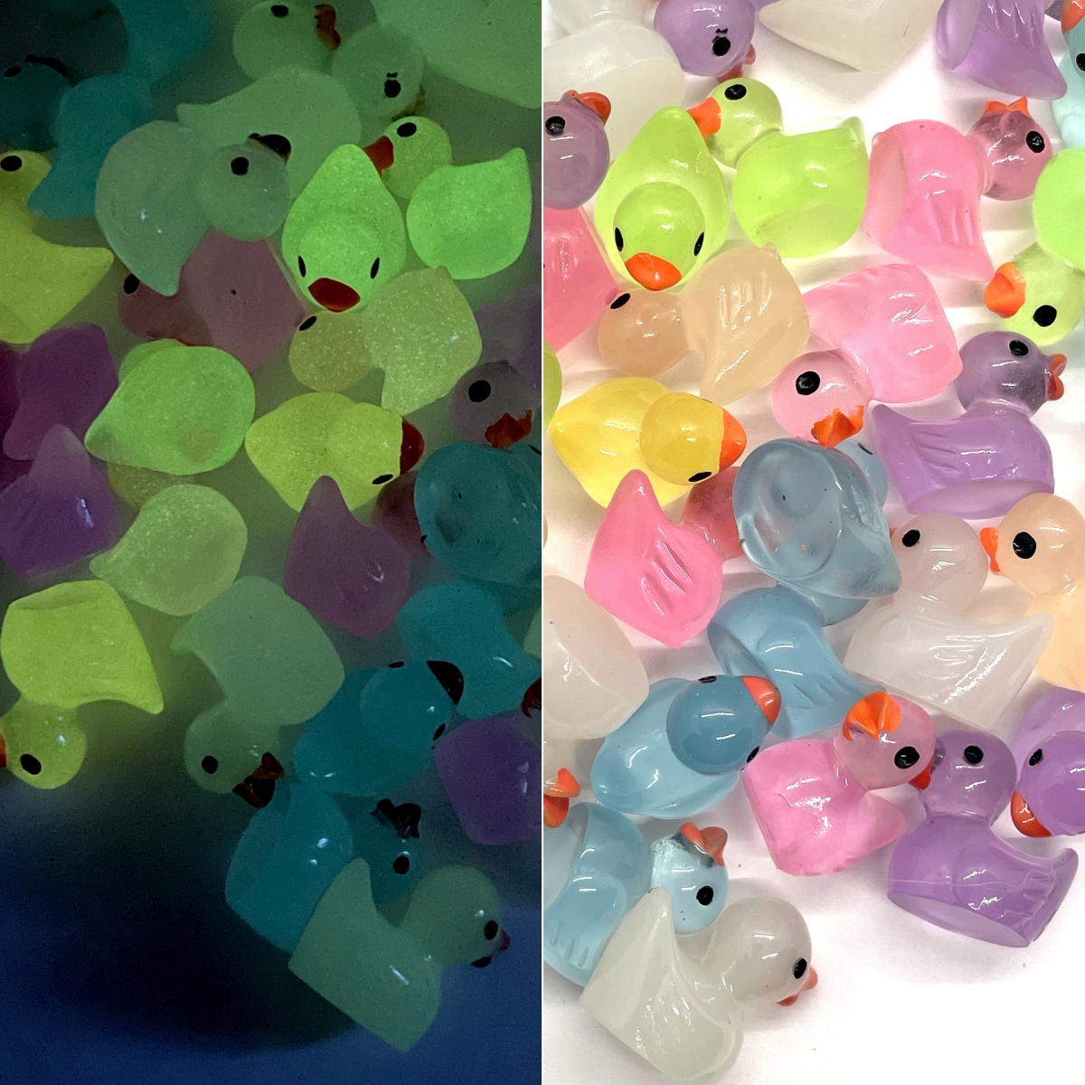 Challenge Hiding 100 Mini Ducks🦆