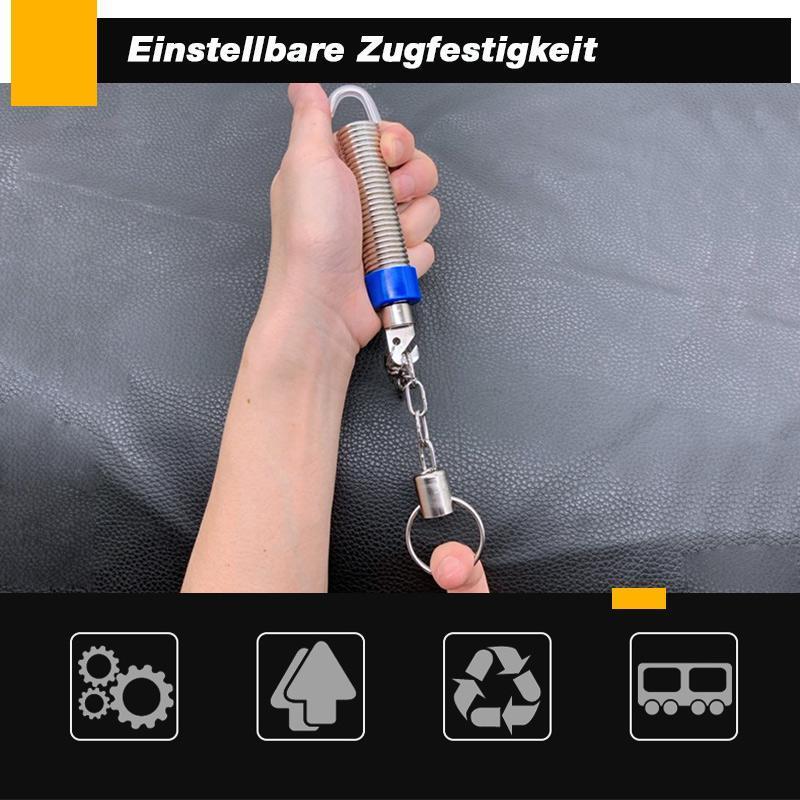Car Trunk Automatic Lifter (1 set)