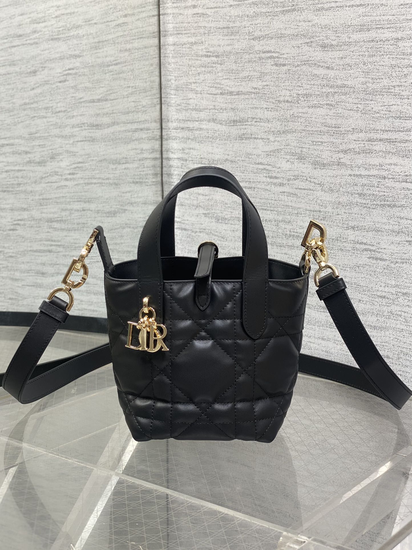 Dior Toujours vertical series mini