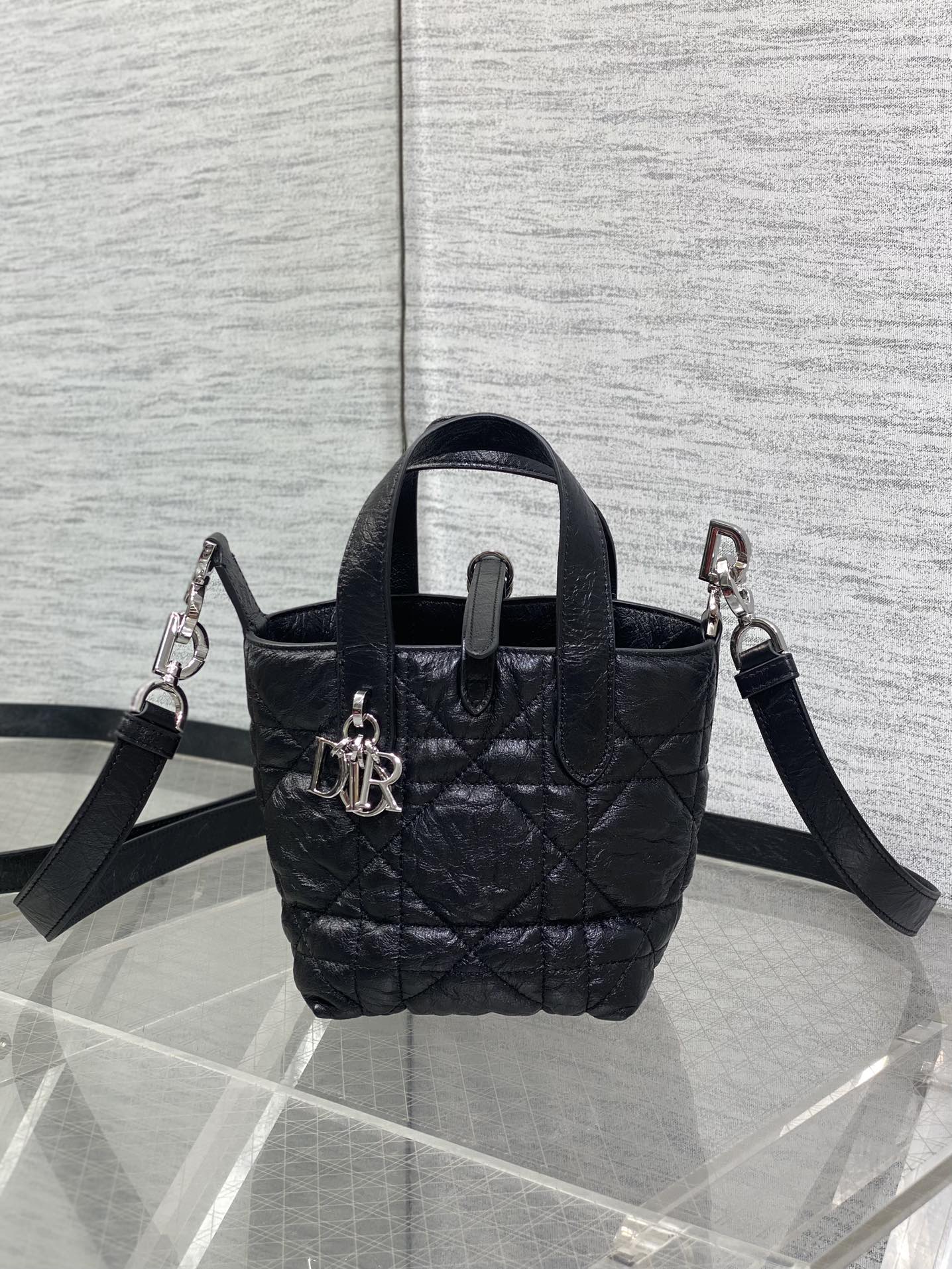 Dior Toujours vertical series mini