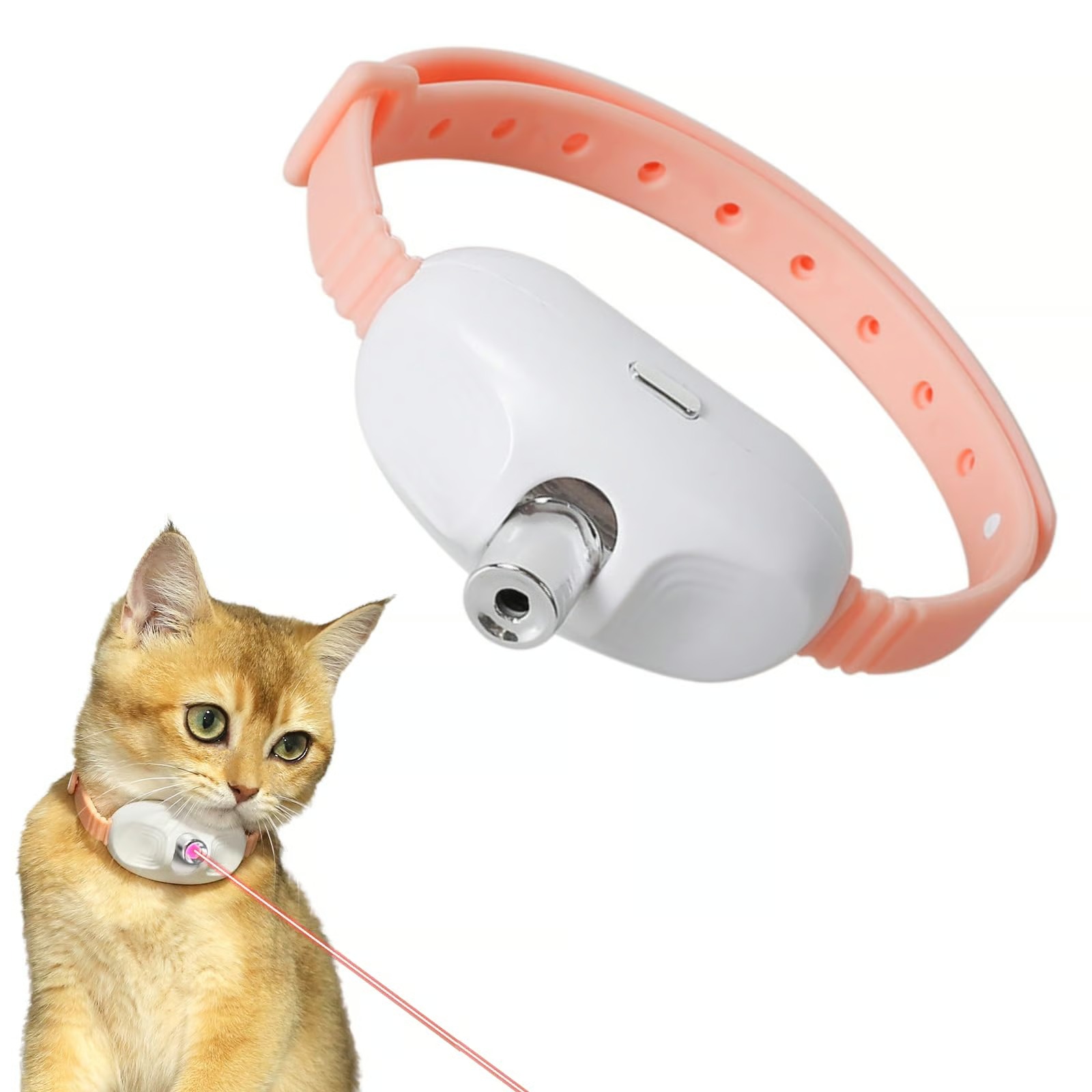 🐾Automatic laser infrared cat collar