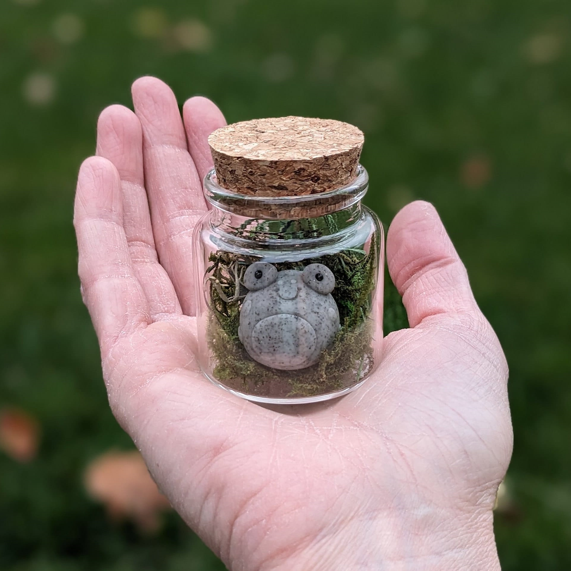 On Sale🔥Adopt A Rock Pet