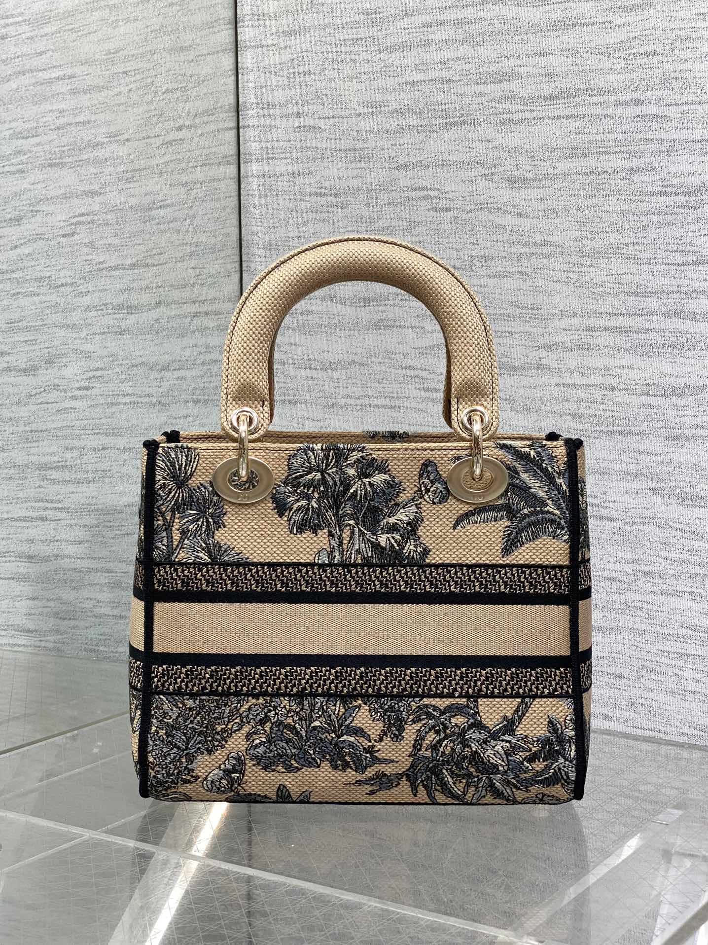 Dior Lady Summer Collection Embroidered Lady Bag
