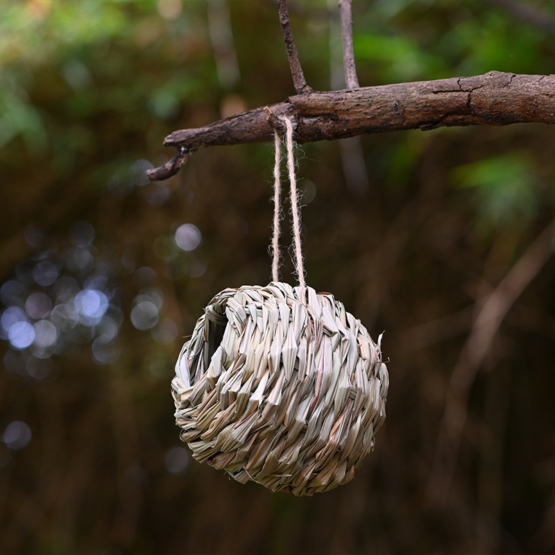 (🔥Last Day Promotion-SAVE 50% OFF)Hummingbird Nest House-BUY 3 GET 3 FREE$FREE SHIPPING