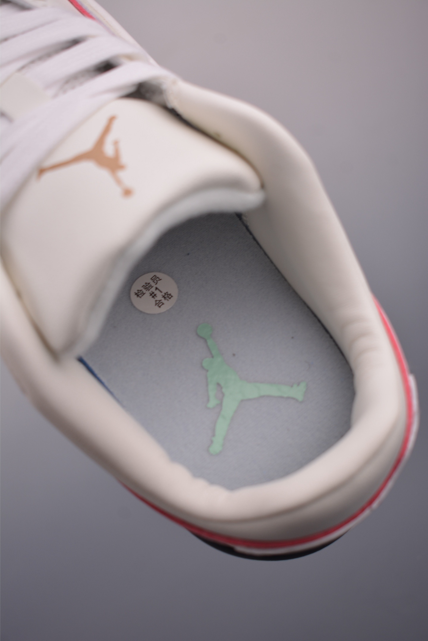 Jordan Flight Court “Croc Skin” HF7321-131