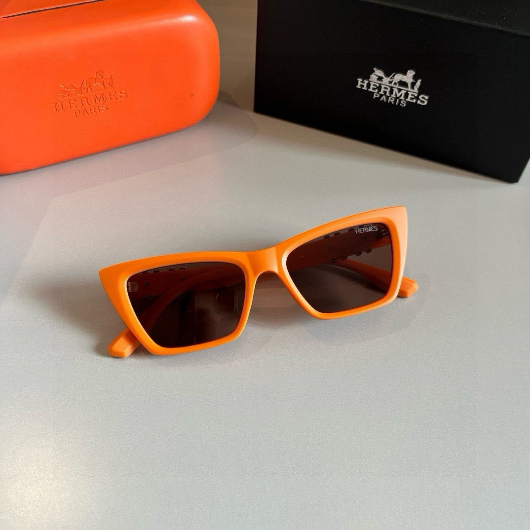 Hermes polarized sunglasses