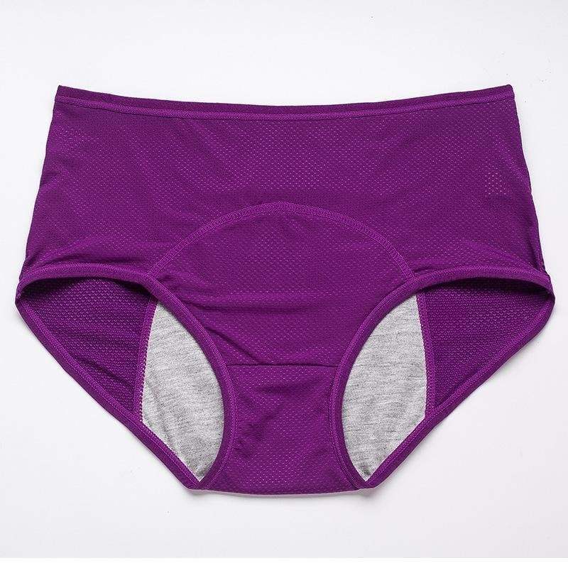🎉🔥LAST DAY 49% OFF🔥--2023 Leak Proof Protective Panties