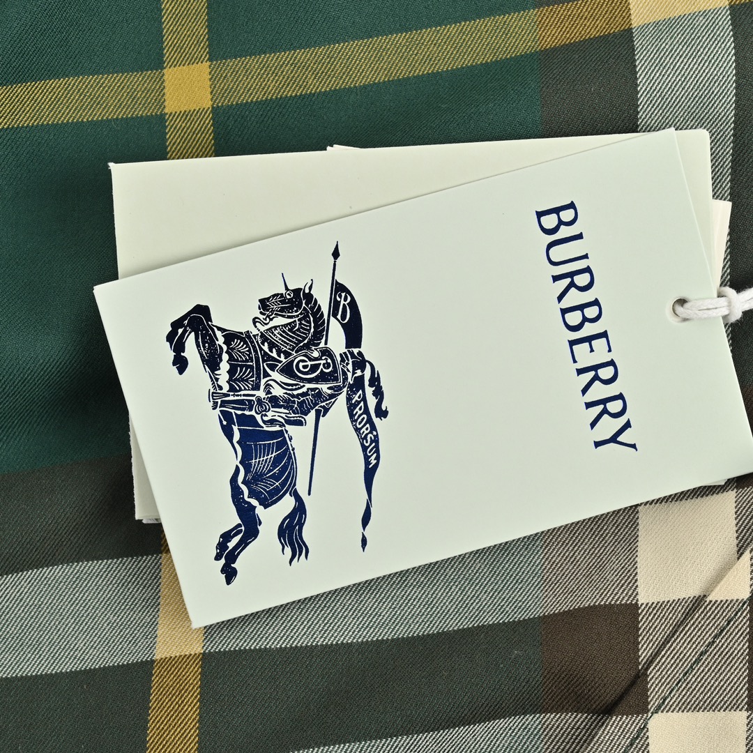 Burberry 24Fw Large Check Cotton Shirt