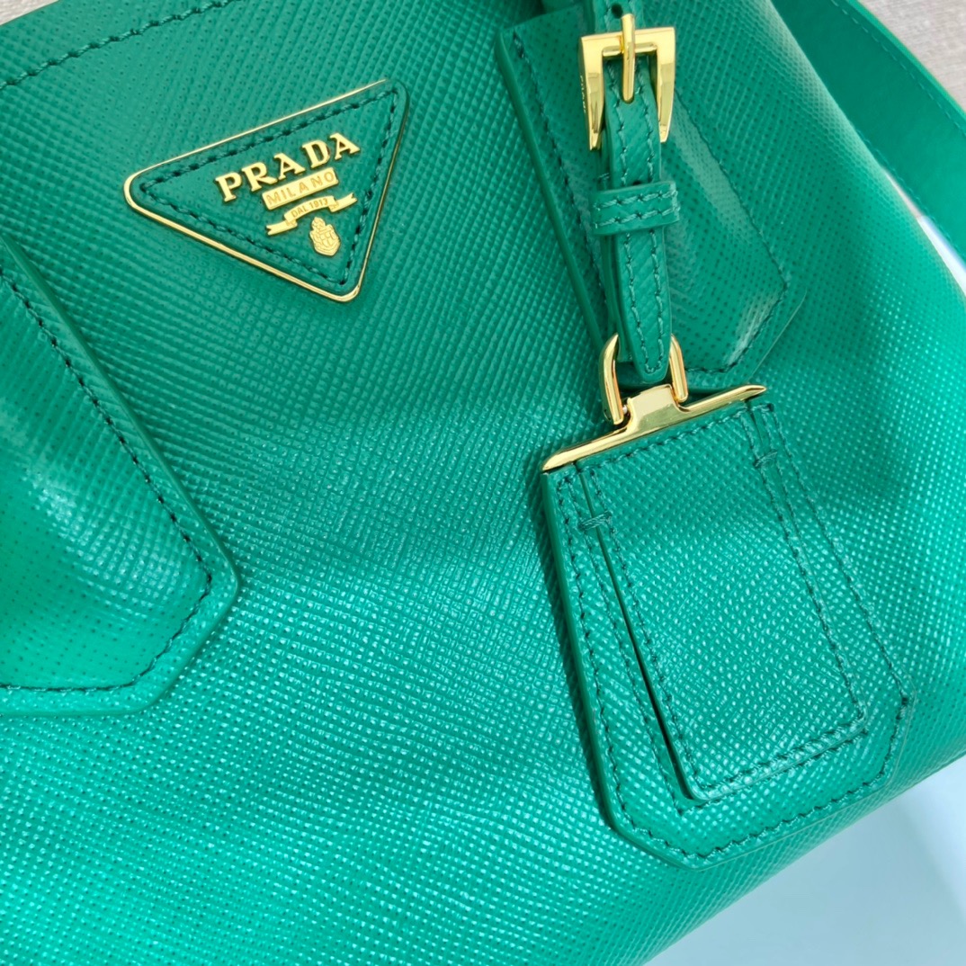 Prada double small handbag 1BG443