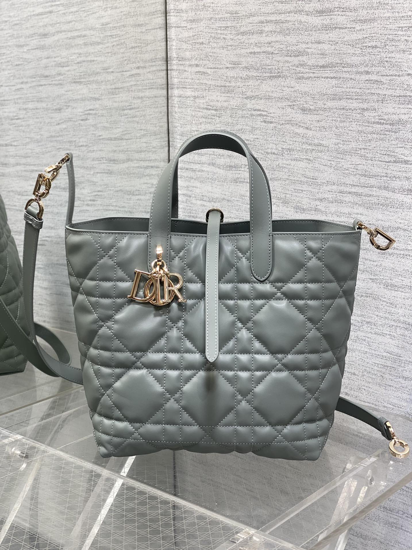 Dior Toujours Vertical Series Medium