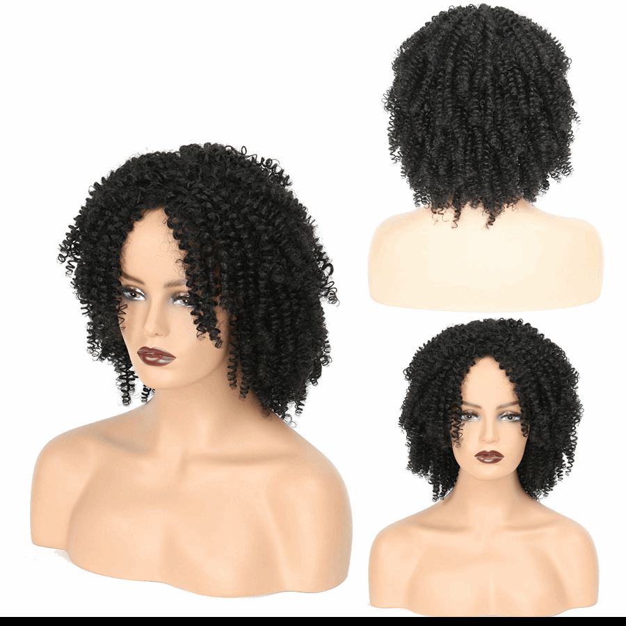 Luna 018 Short Kinkly Curly Synthetic Wigs for Women