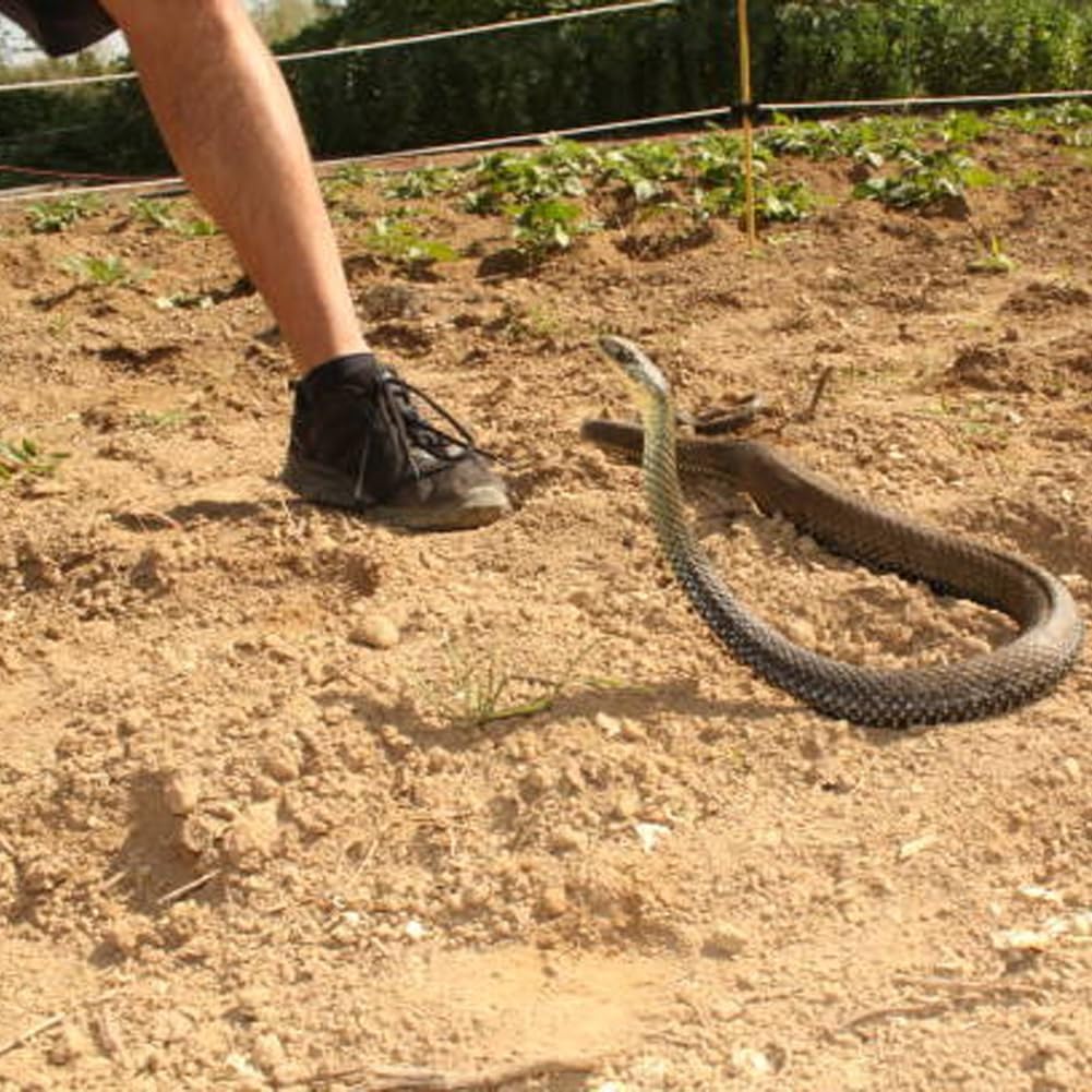 😈Snake Prank with String Clip🐍
