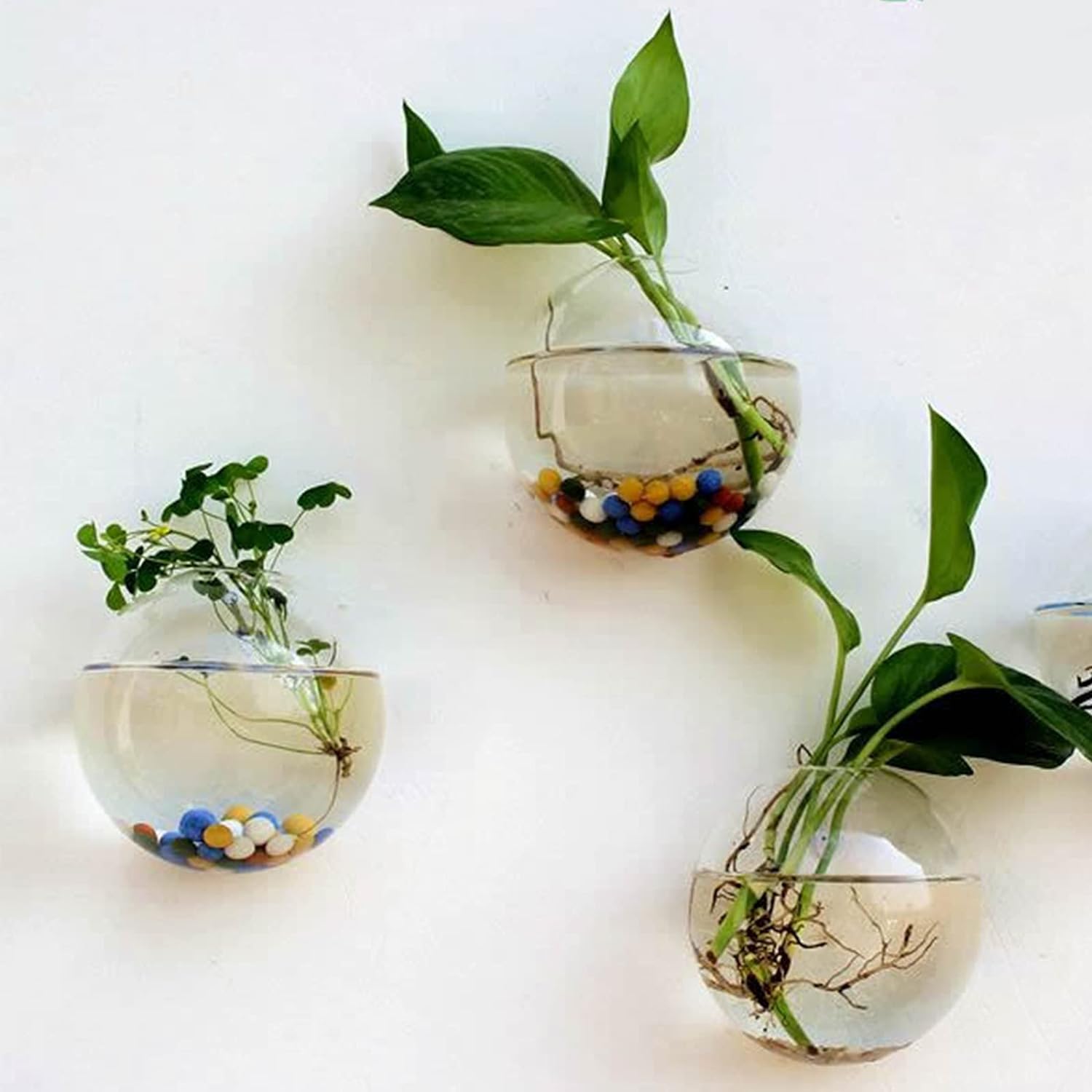 Wall Hanging Planter Propagation Station Glass Flower Vase