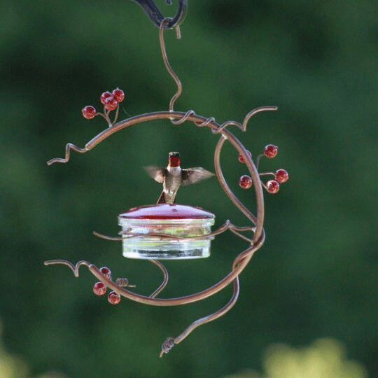 Red Berries Hummingbird Feeder-20% OFF