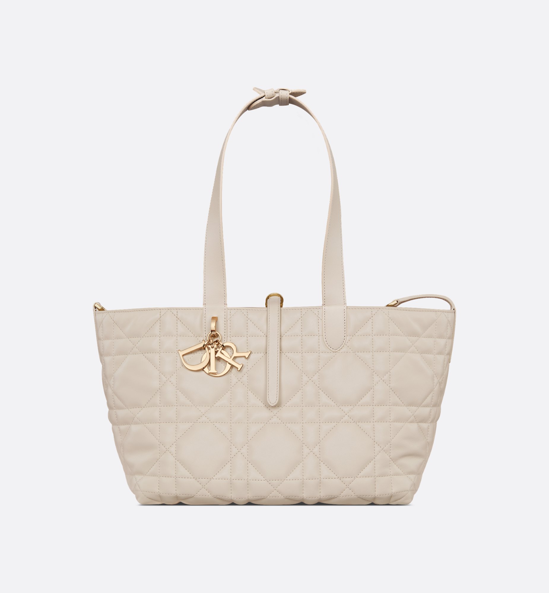 Dior Medium Dior Toujours Bag M2821OSNW_M62U