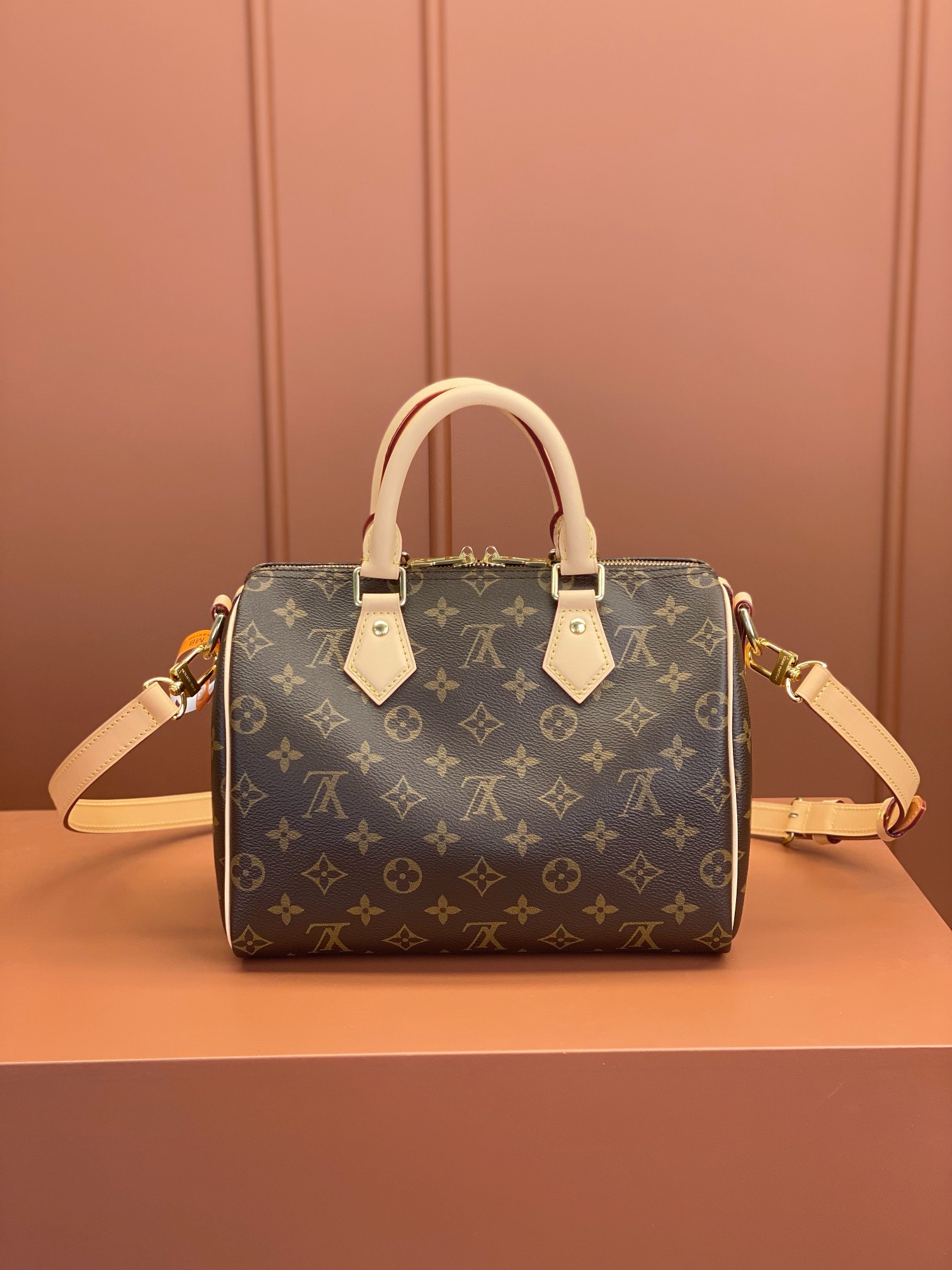 Louis Vuitton SPEEDY 25 Handbag M41113