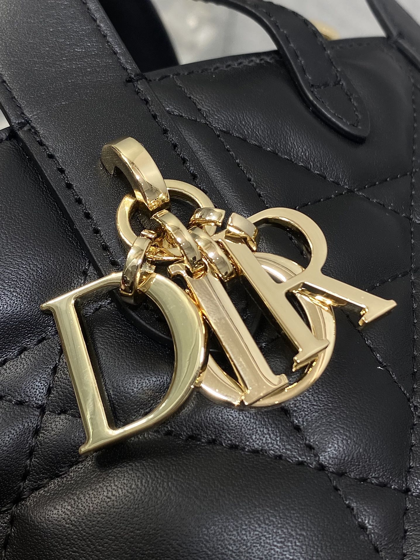 Dior Toujours vertical series mini