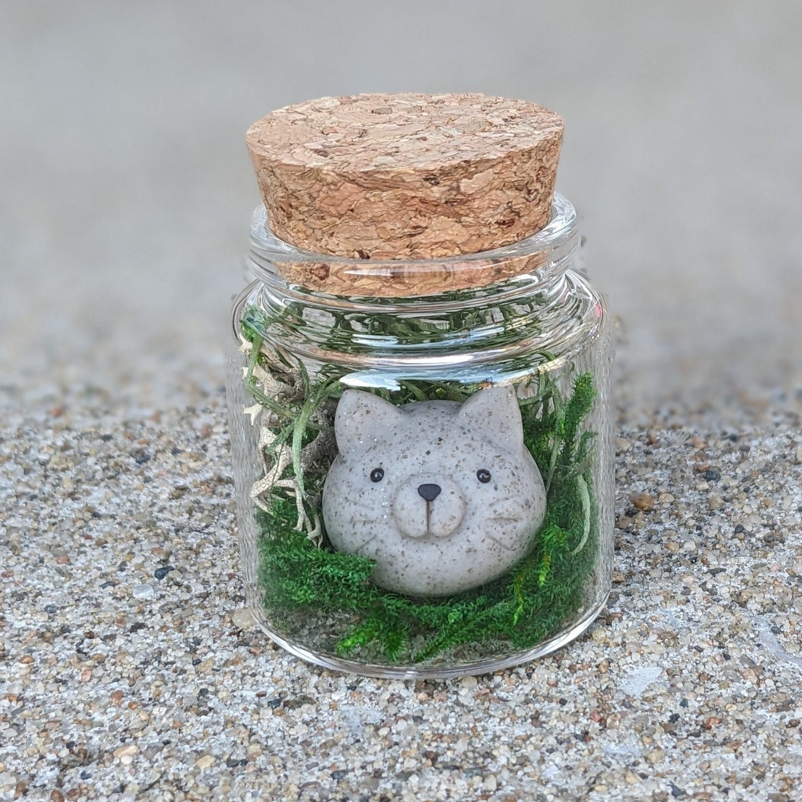 On Sale🔥Adopt A Rock Pet