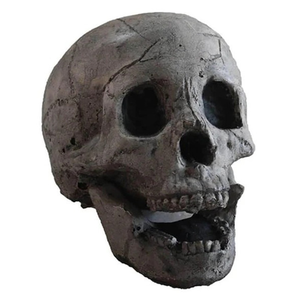 🔥(Flash Sale-55%OFF)- Terrifying Human Skull Fire Pit