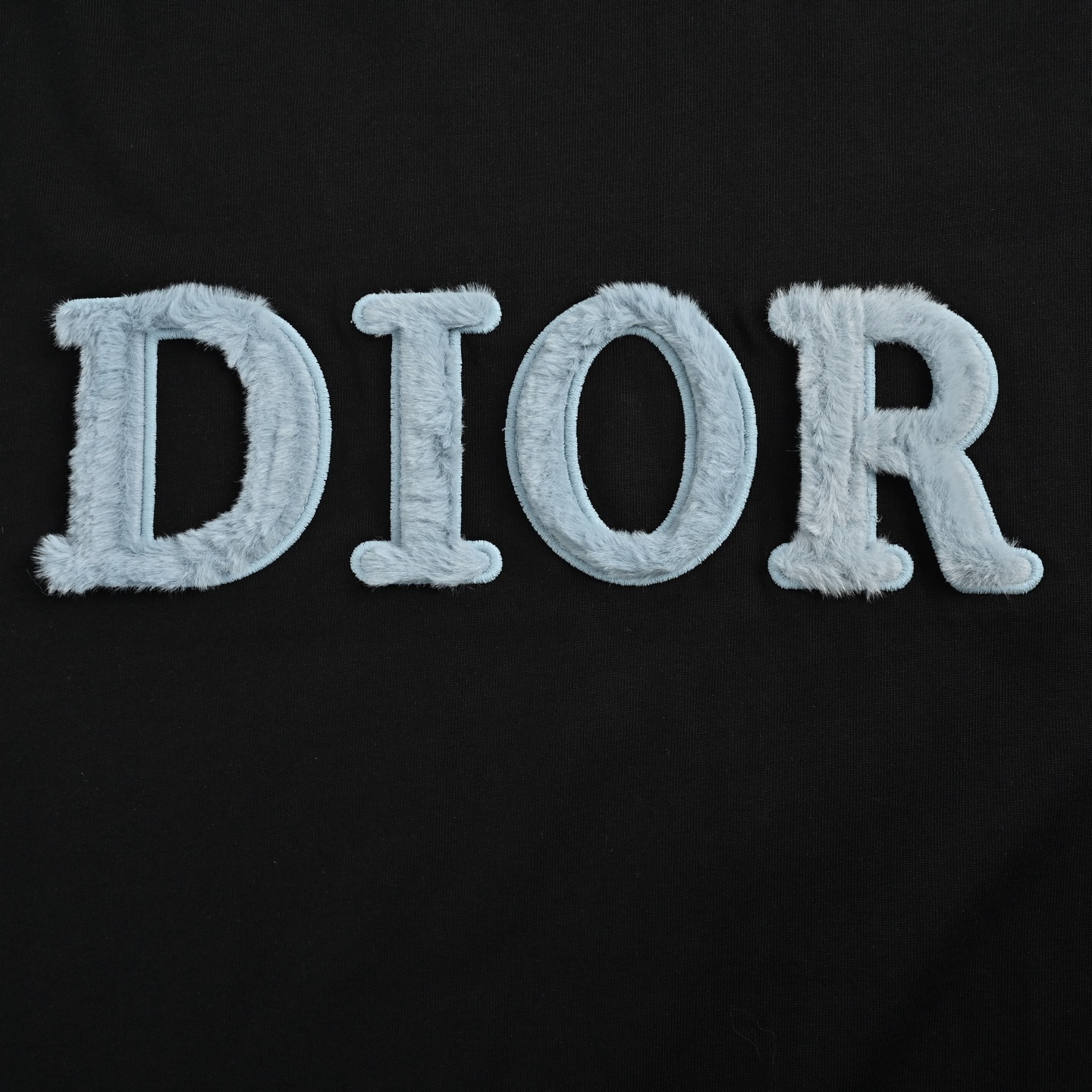 Dior 25ss blue flocked letter embroidered short sleeve
