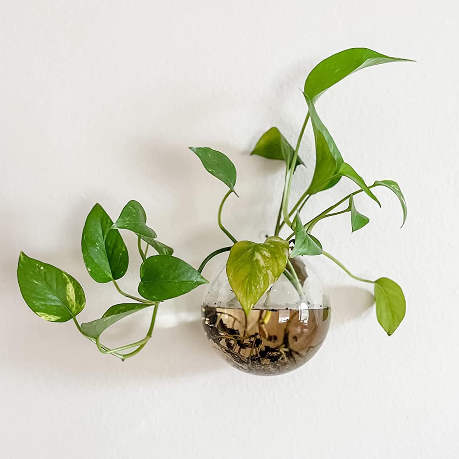 Wall Hanging Planter Propagation Station Glass Flower Vase